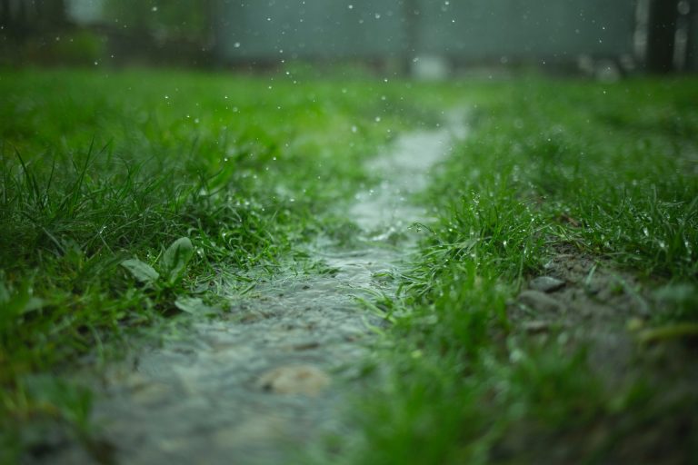 How Do I Prevent Yard Flooding?