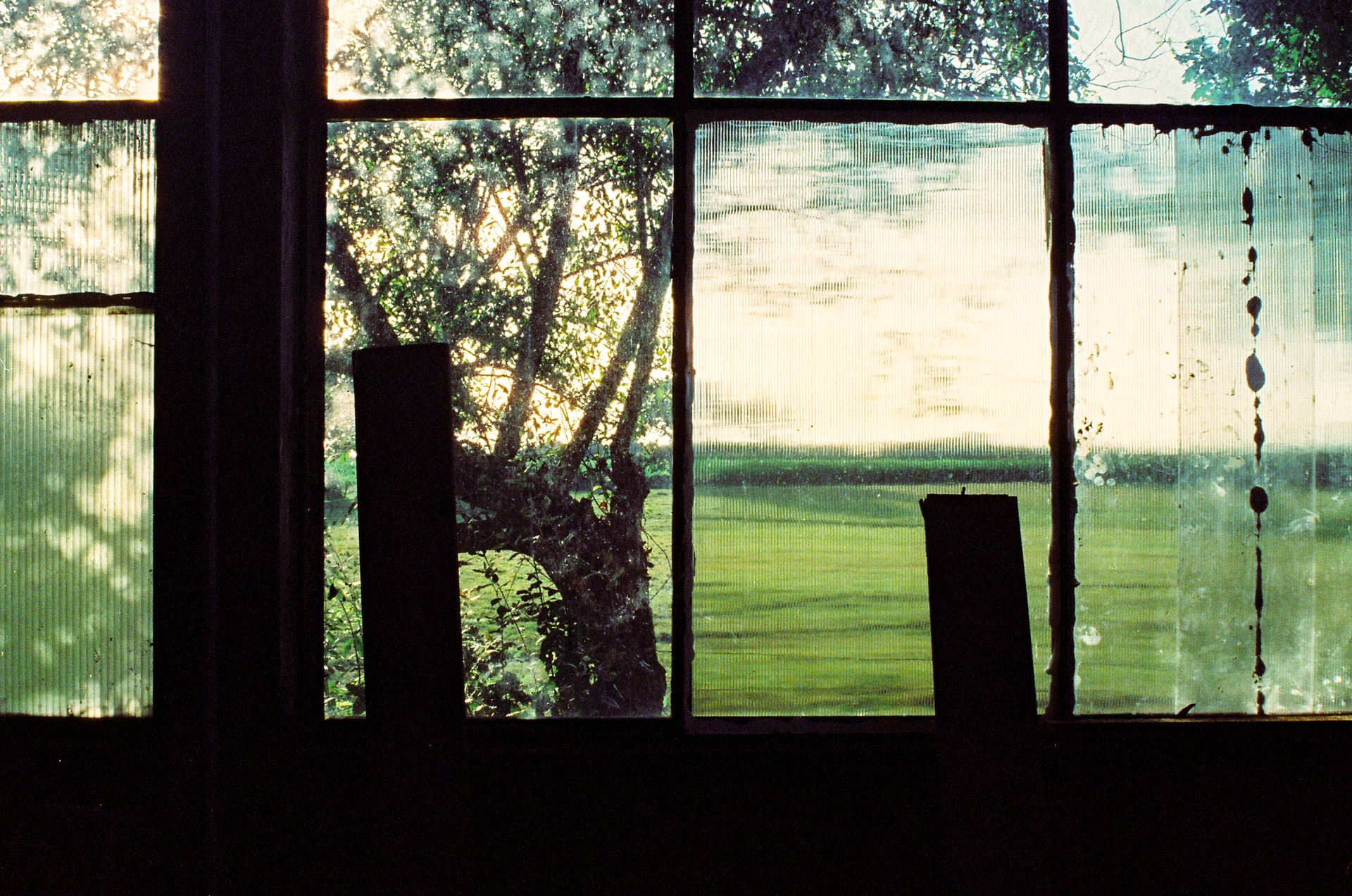 Why Do I Have Moldy Basement Windows?