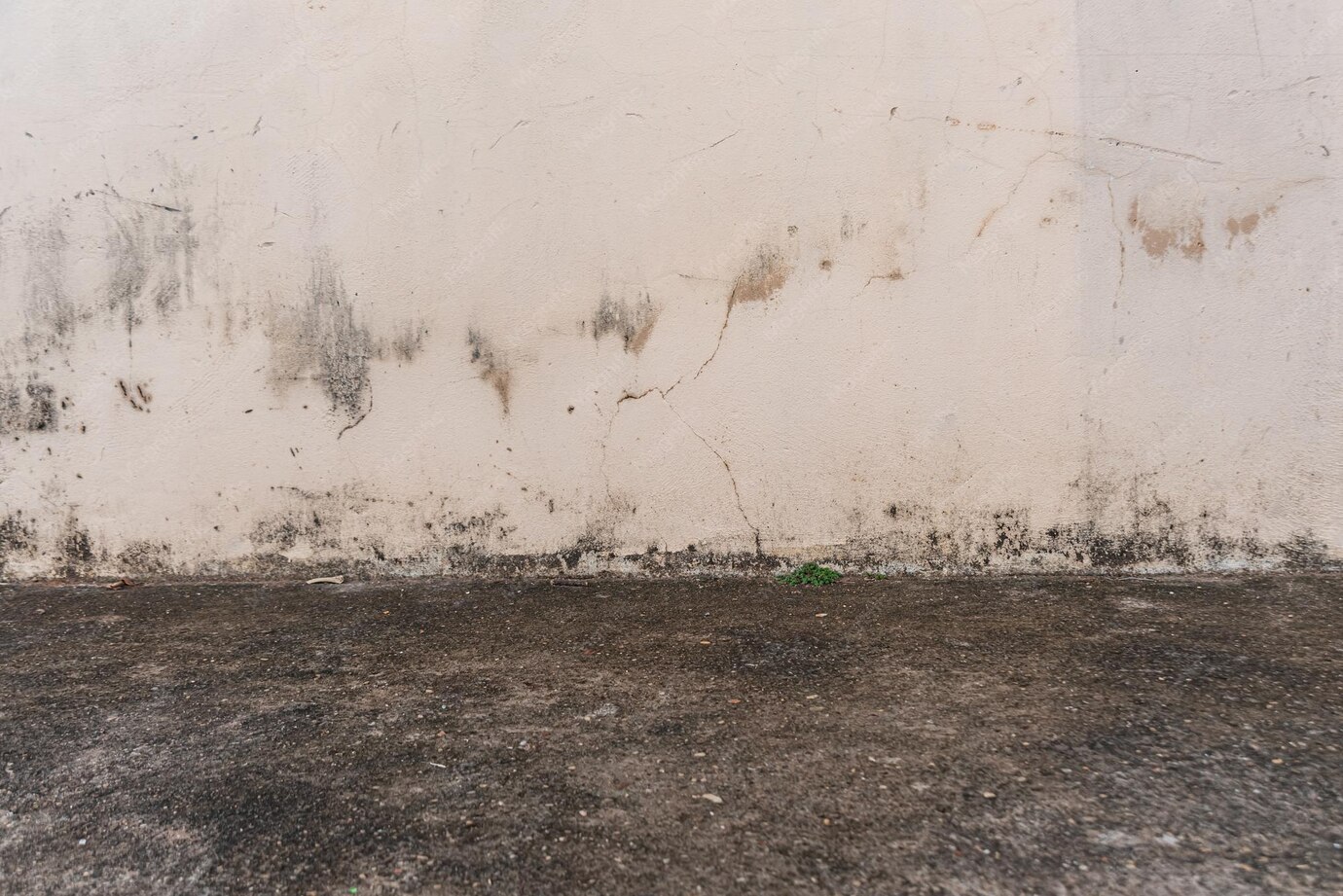 Moisture staining where a basement wall meets the concrete floor